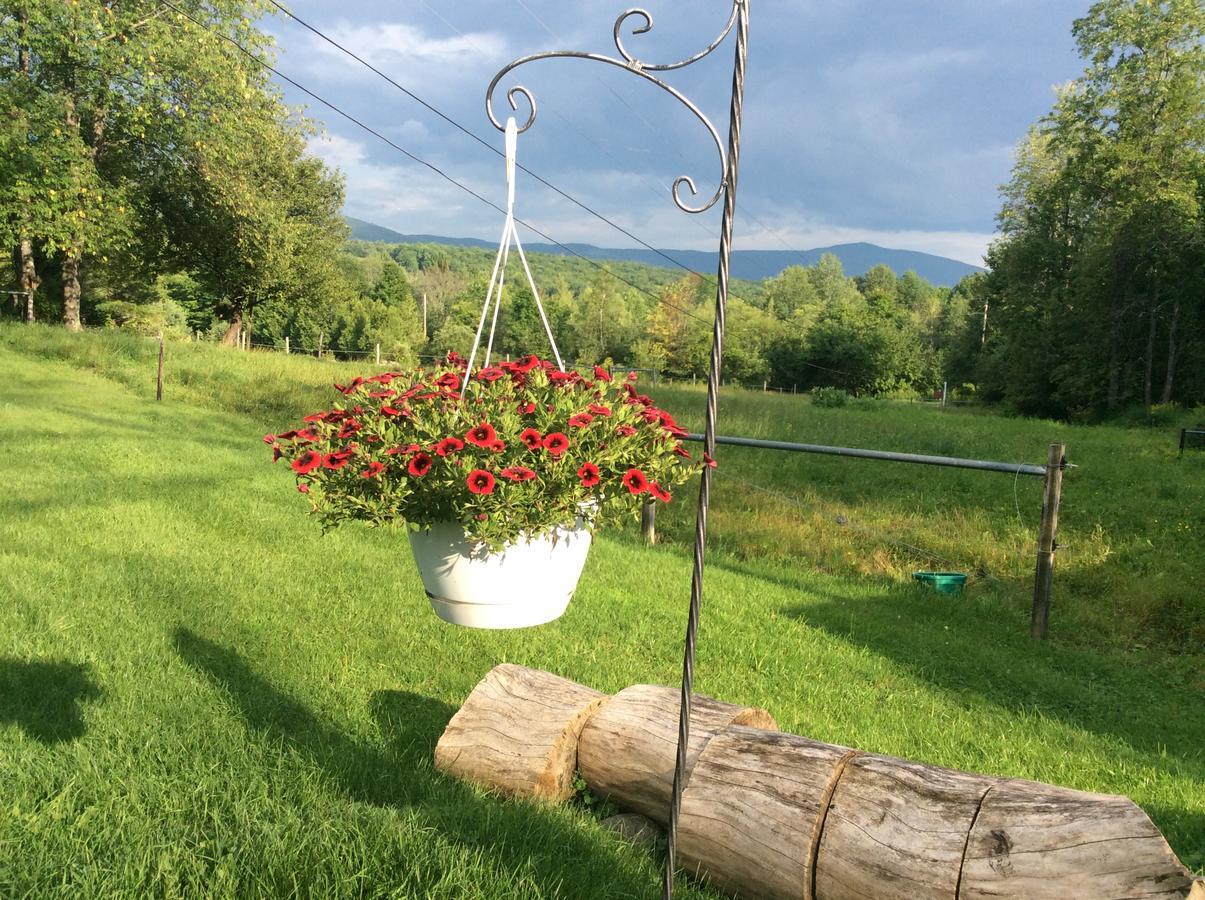 Firefly Bed & Breakfast Lincoln Extérieur photo
