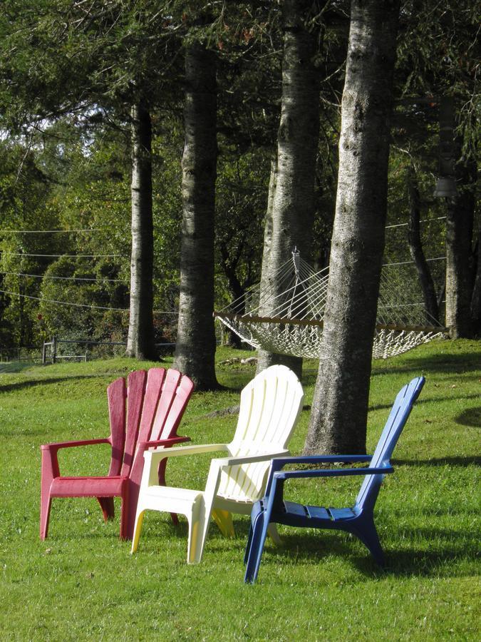 Firefly Bed & Breakfast Lincoln Extérieur photo