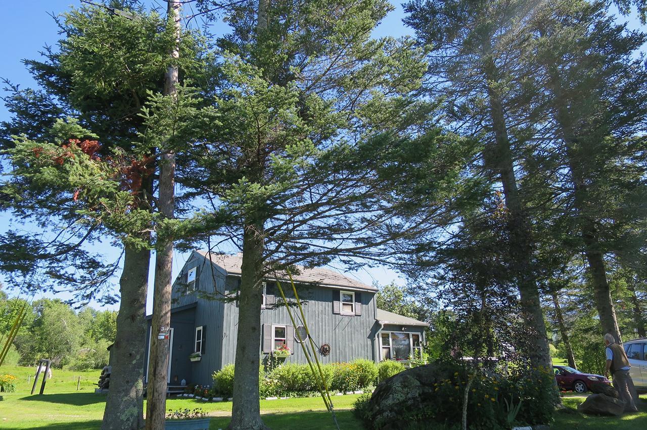 Firefly Bed & Breakfast Lincoln Extérieur photo
