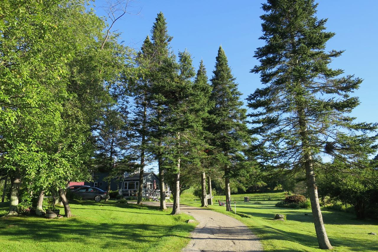 Firefly Bed & Breakfast Lincoln Extérieur photo