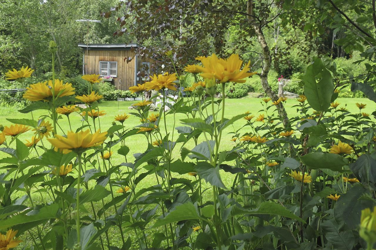 Firefly Bed & Breakfast Lincoln Extérieur photo
